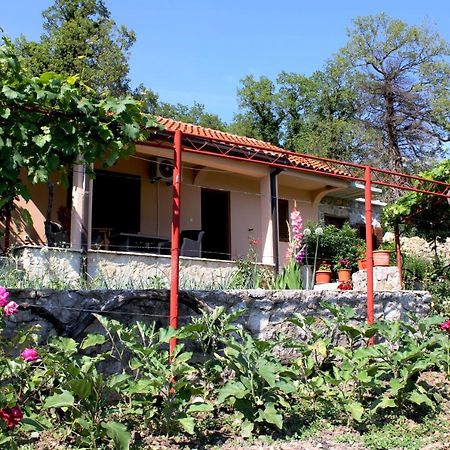Holiday Home Gazevic Virpazar Εξωτερικό φωτογραφία