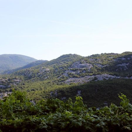 Holiday Home Gazevic Virpazar Εξωτερικό φωτογραφία