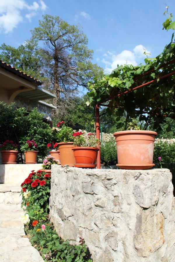 Holiday Home Gazevic Virpazar Εξωτερικό φωτογραφία