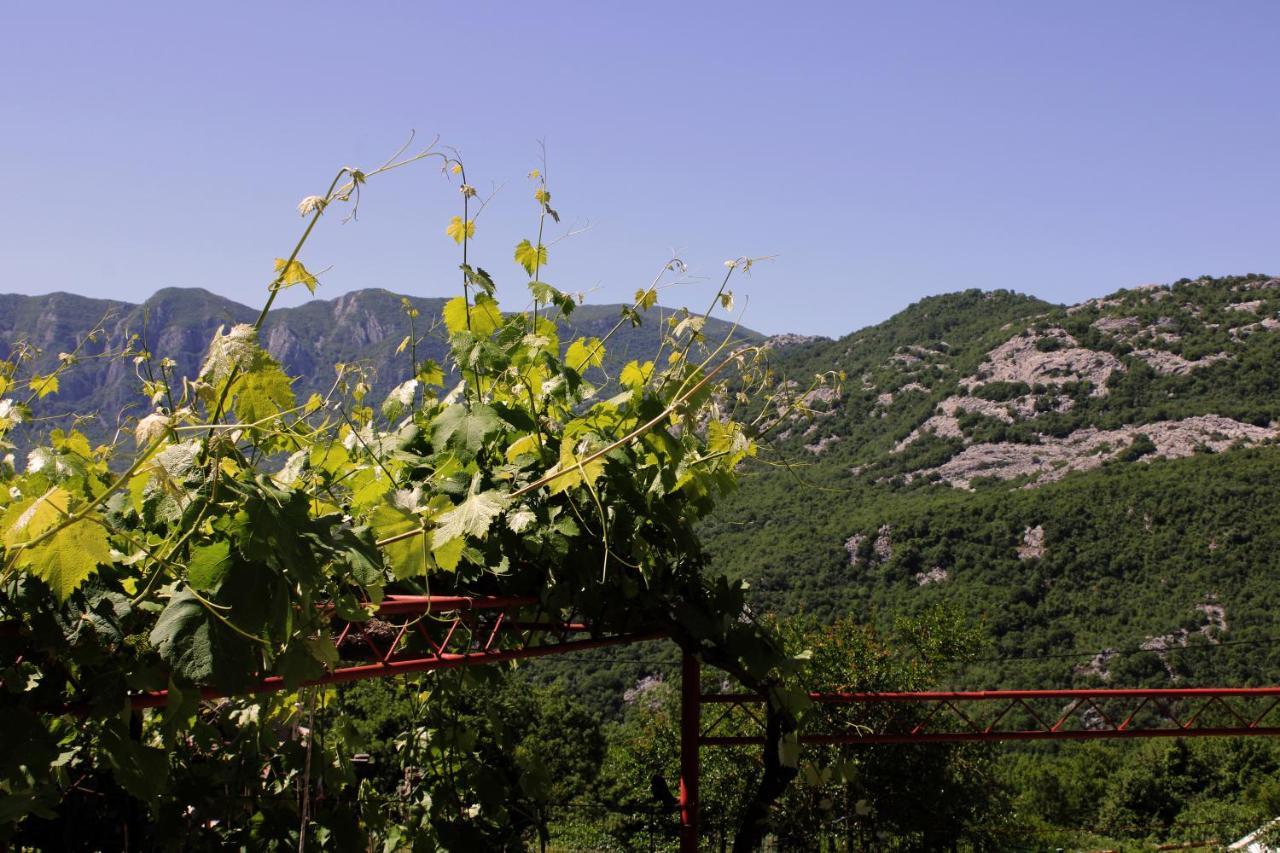 Holiday Home Gazevic Virpazar Εξωτερικό φωτογραφία
