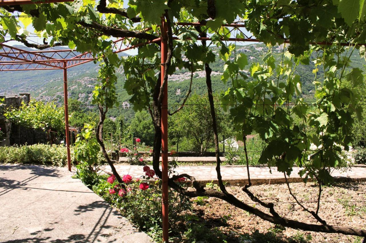 Holiday Home Gazevic Virpazar Εξωτερικό φωτογραφία
