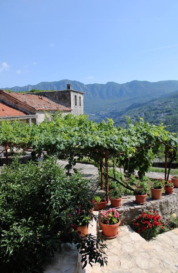 Holiday Home Gazevic Virpazar Εξωτερικό φωτογραφία